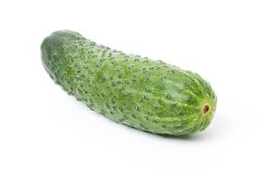 Raw cucumber isolate on white background photo