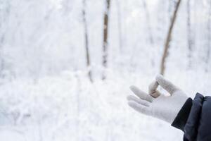 Hands in gloves against the background of the winter forest. Winter is coming. A walk in a snowy white grove. Frosty wind, frozen hands photo