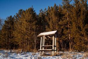 A small gazebo near a snow-covered forest. Winter walk, sunset sun. Wooden gazebo for relaxation photo
