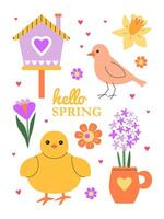 Chick, bird and flowers. Cheerful spring time. Colorful hand drawn elements. Hello spring inscription. Greeting card, invitation, poster, banner, placard, background. vector