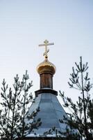 The dome churches are hidden in the forest. Golden cross on the roof of the temple. Tsasovnya standing in the forest photo