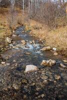 rápido superficial río descendente desde el montaña. el fondo de el río es cubierto con grande y pequeño piedras, en el apuntalar seco césped, otoño llega. foto