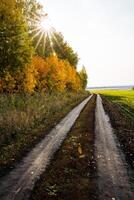 the road through the field and a grove photo