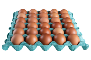 marron Oeuf carton avec transparent Contexte png