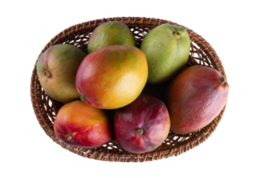 Mango fruits in basket with transparent background png