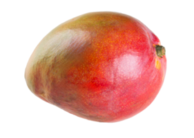 Ripe mango fruit with transparent background png