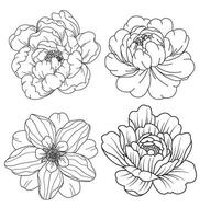 Set of flower. Hand drawn decorative elements. Vector illustration