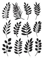 Set of leaves. Hand drawn decorative elements. Vector illustration