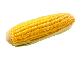 AI generated Corn vegetable object png file