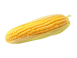 AI generated Corn vegetable object png file