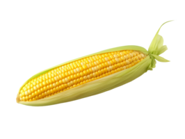 AI generated Corn vegetable object png file