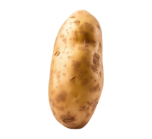 AI generated Potato vegetable png file