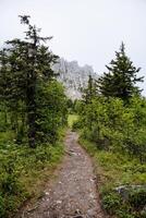 Forest mountain road going straight to the mountains. Light fog covers the sharp peaks of the mountains. photo