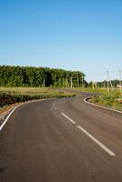 Motor road. An empty asphalt road with a bend between flower meadows in the countryside. A trip on a sunny day in summer photo