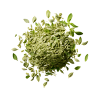 AI generated Transparent Background for Oregano, Providing Maximum Design Flexibility png