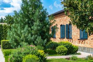 hermosa paisajismo con hermosa plantas y flores hogar exterior foto