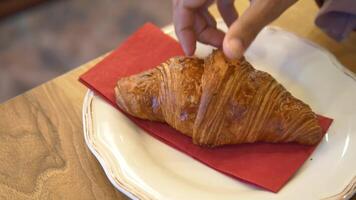 hand pick fresh baked croissant on plate video