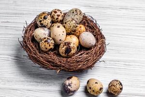 quail eggs in a nest and laid out around it border photo