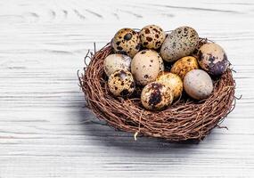 Speckled quail eggs in a nest made of twigs over the light wooden background. Brown bezel with eggs. Space for text photo