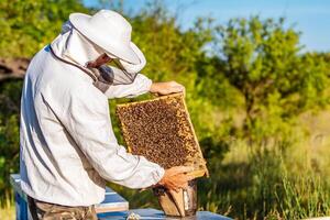 apicultor es trabajando con abejas y colmenas en el colmenar. abejas en panales foto