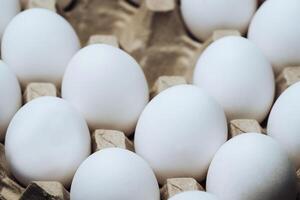 Carton tray with Chicken white eggs. Empty cells in the middle. Closeup. Farm products and natural eggs. Healthy food. photo