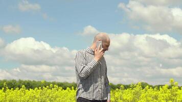 el granjero es hablando en el teléfono en el colza campo video