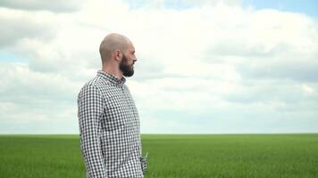 portret van jong gebaard boer Mens met baard op zoek naar camera in tarwe veld- video