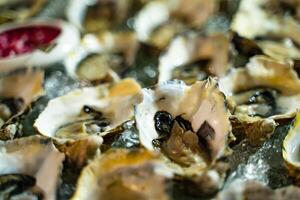 Fresh half-shell oysters packed with nutrition, high in calcium, vitamin and mineral served in the restaurant. Plenty of fresh opened oysters on ice. Close up. photo