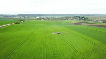 Aerial view of farming tractor spraying on field with sprayer, herbicides and pesticides. Tractor is spraying pesticides on grain field video