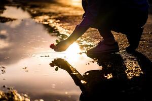 Silhouette of man on the sunset is putting a red rose to the water. Reflection. Love and romance concept photo