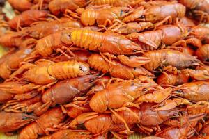 Brotherhood of red crayfish, Cancers to beer, boiled crawfish, snacks, sea crayfish, Fish crabs beer photo