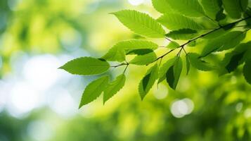AI generated Closeup of leaves with a blurred bokeh photo