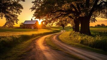 AI generated The golden hour glow on a country road photo