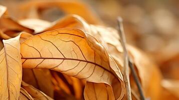 AI generated Closeup of a curled, dry leaf photo