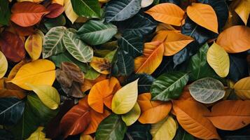 AI generated Leaves forming a natural collage photo