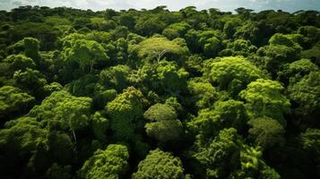 ai generado aéreo ver de un lozano, verde bosque pabellón foto