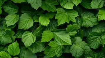 AI generated Leaves forming a textured background photo