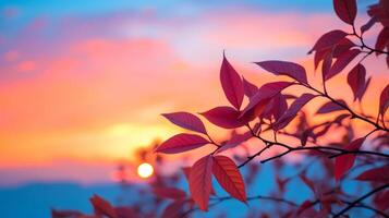 AI generated Leaves against a vibrant sunset sky photo
