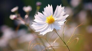 AI generated Hyper zoom shot of a delicate wildflower in the wind photo