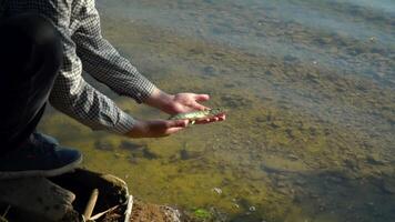 Fisherman hands lets go just caught pike fish video