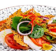 Caprice Salad close up on plate photo