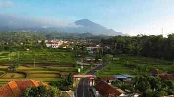 antenn se av njut av de morgon- med de vidd av ris fält och visningar av montera ciremai. kuningan, väst java, Indonesien, februari 19, 2024 video