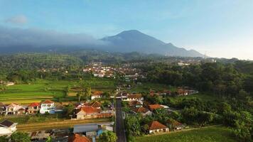 Aerial view of Enjoy the morning with the expanse of rice fields and views of Mount Ciremai. Kuningan, West Java, Indonesia, February 19, 2024 video