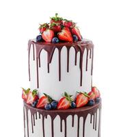 White cake with melted dark chocolate with fresh berries photo