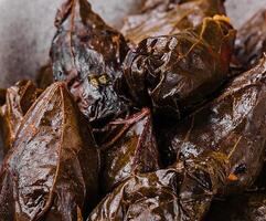 dolma repollo rollos uva hojas con relleno foto