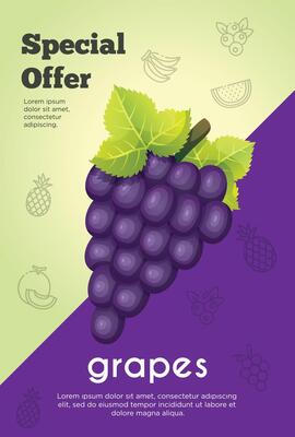 Flyer special offer for grapes fruit product. Fruit promotion flyer