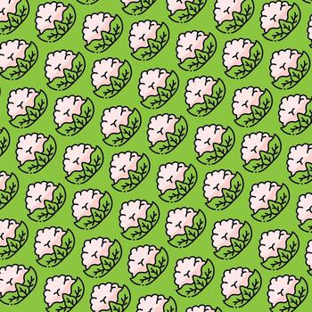 coliflor modelo diseño o antecedentes vector