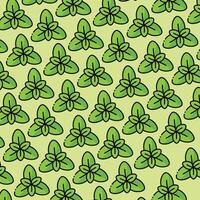 Basil pattern design or background vector