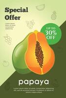 volantes especial oferta para papaya Fruta producto. Fruta promoción volantes vector