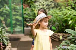 Little girl holding butterfly in her hand. photo